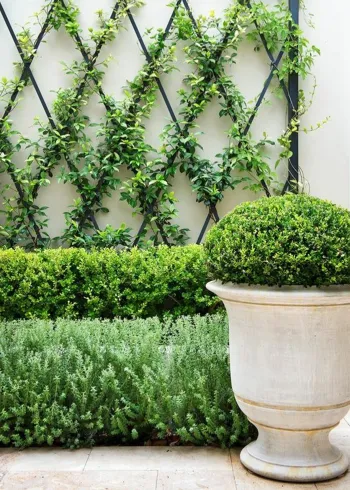 Habiller un mur extérieur