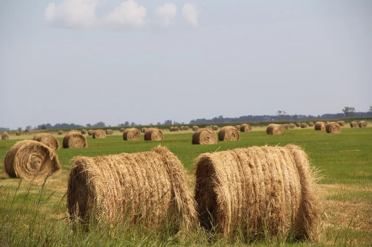 AGRI-EQ-108 : Dispositif de Stockage d’Eau pour Serre Bioclimatique